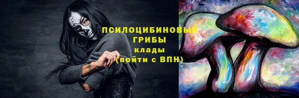 мет Белокуриха