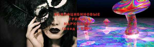 каннабис Новозыбков