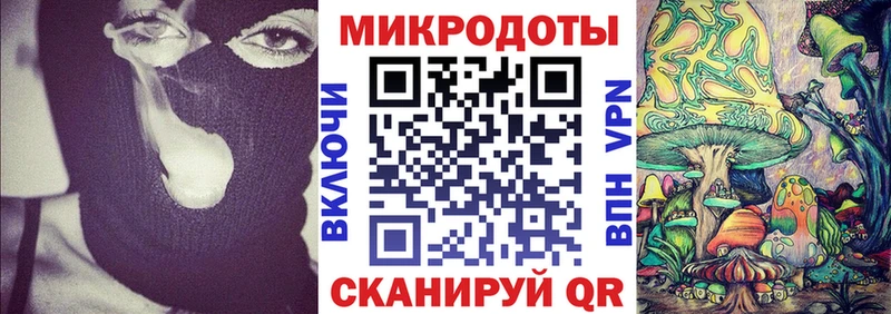 купить   Полесск  Галлюциногенные грибы Psilocybine cubensis 